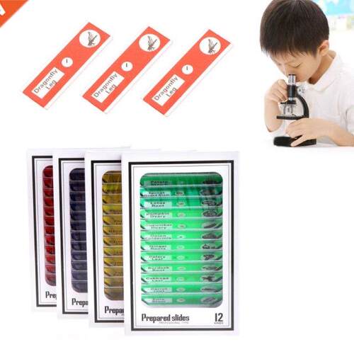 12 Pcs Prepared Microscope Slides Set Specimen For Student B