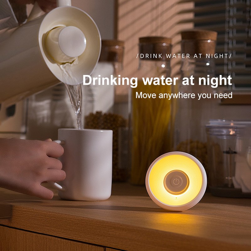 Motion Sensor Night Light LED Intelligent Human Body