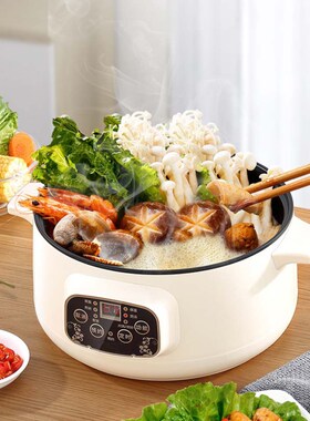 Multifunctional Electric Cooker 220V Heating Pan Electric Co