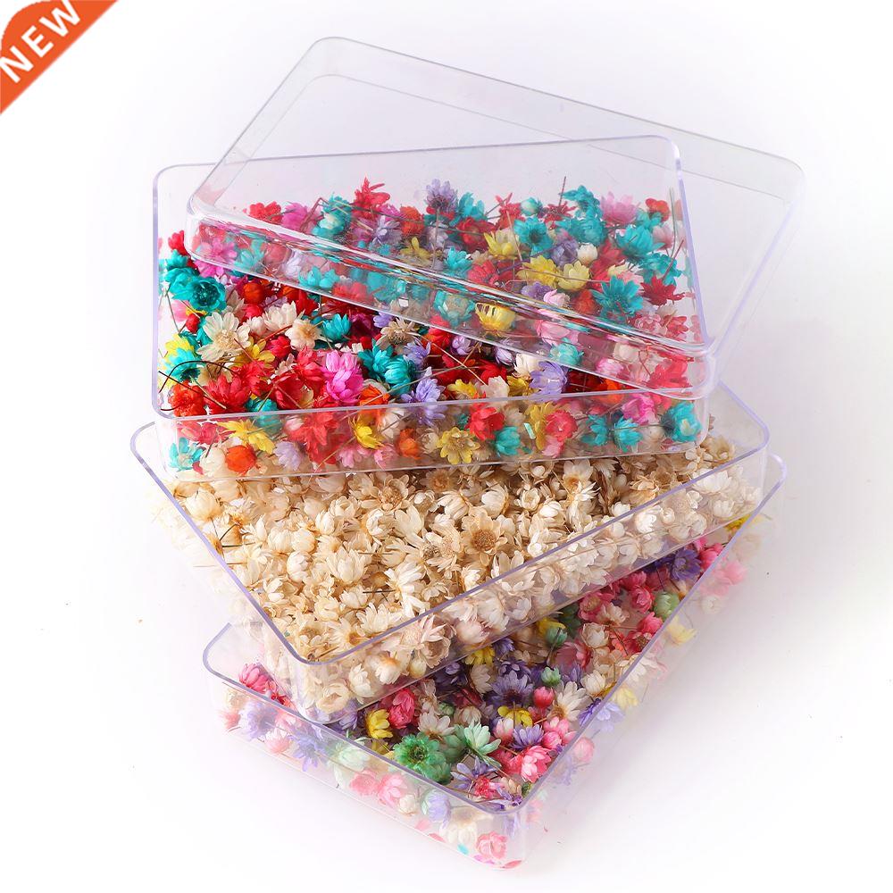 100-600 Pieces Boxed Decorative Dried Flower Mini Star Bouqu