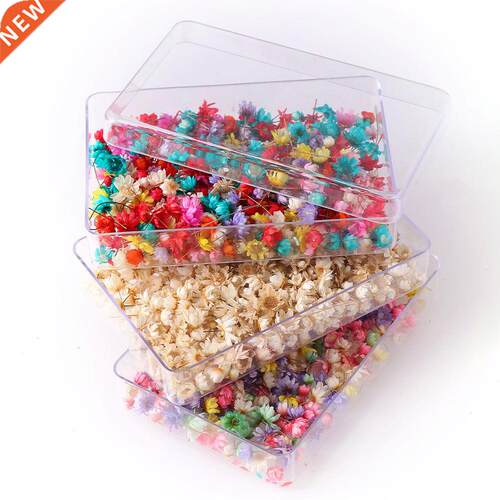 100-600 Pieces Boxed Decorative Dried Flower Mini Star Bouqu
