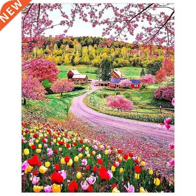 Diamond Paintings for Kids Kit Diamond Painting Countryside