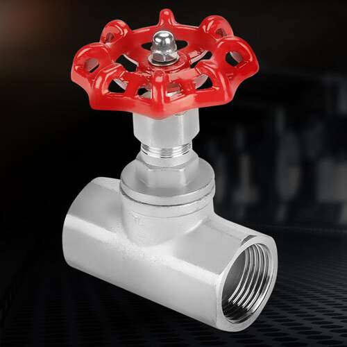 DN25 Gate Valve Stainless Steel Gate Valve BSPP G1 Sluice V