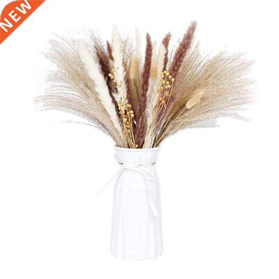 Pappas Grass Plums,Fluffy Pappas Grass Plant Branches,Tusk A