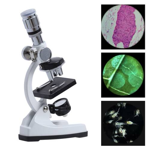 Biology Microscope Set for Children Student Study Tool 1200