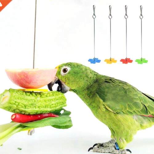 2 Size Parrot Fruit Fork Spear Holder Feeding Birds Hang Cag