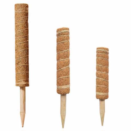 3PCS Moss Pole Is Suitable for Plants Cocoa Pole Is Used for