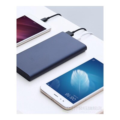 10000mAh  Mi Powerbank 2 PLM12ZM External Battery PowerBank