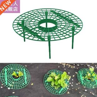 Strawberry plant Stand Support Frame Holder Balcony Plantng