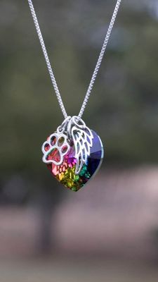 Rainbow Bridge Pet Loss Necklace -Pet Loss Gift - Pet Memori