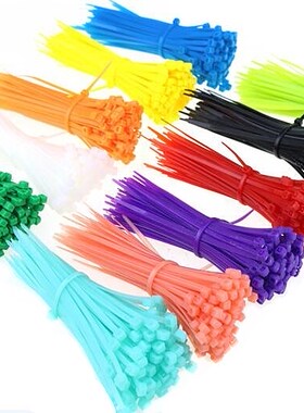 100pcs/bag 12 Color 3x100 3*100 Self-Locking Nylon Wire Cabl