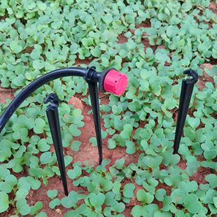 50Pcs 11cm Hook Irigation Durable Plastic Fixed Stems Suppor