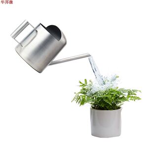 Bouilloire à fleurs en acier inoxydable | Multifoncti