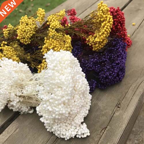 25g Natural Dried Fresh preserved Millet flower,Eternal Dry