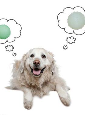 Funny Dog Puppy TPR Rubber Luminous Elastic Ball Tooth Clean