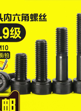 12.9级超高强度内六角螺丝8M3M4M5M6M10螺栓杯头螺钉圆柱头螺丝钉