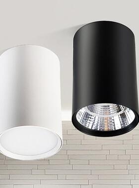 Dimmable Surface Mounted Ceiling downlight high power Recess