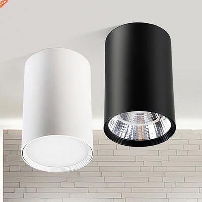 Dimmable Surface Mounted Ceiling downlight high power Recess