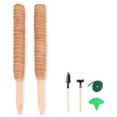 HOT SALE Moss Pole Plant Stakes Supports for Potted Plants