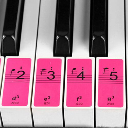 Piano Keyboard Keys Stickers for Beginners for 88/61/54