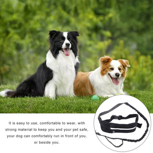 Pet Supplies Portable Harness Ajustable Strap Long Walking B