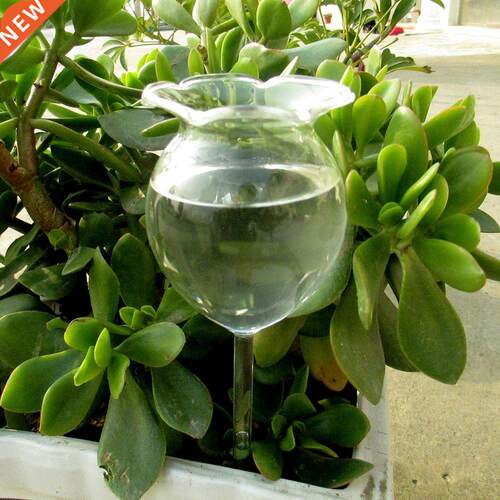 1 Shapes House Plants Flowers Water Fee Automatic Self W