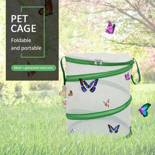 Home Garden Yard Supplie Traps Catcher Insect And Butterfly