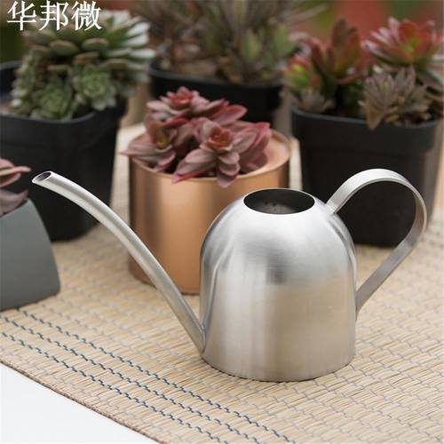 Pot d'rosage en acier inoxydable 500ML | Plante verte, P