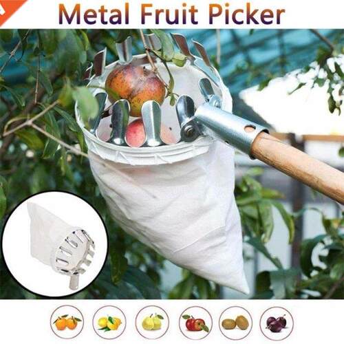 Orchrd Grdening pple Pech High Tree Picking Tools Metl