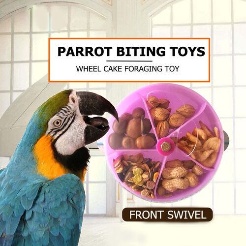 Wheel Type Parrot Feeding Box Ordinary Layout Operation Conv