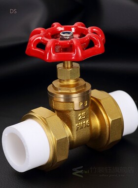 gogo 20mm 25mm PPR gate valve union pipe fitting Stop Valve