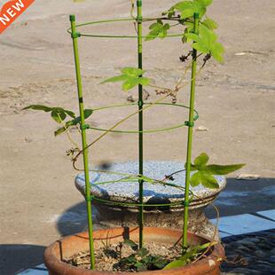 Useful Plant Fixed Climbing Vine Rack kwiaty ogrodowe Tomato