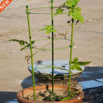 Useful Plant Fixed Climbing Vine Rack kwiaty ogrodowe Tomato