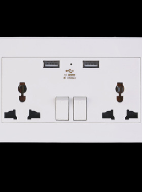 2 Gang 2USB 1000mA Home Wall Charger Adapter Socket USB Port
