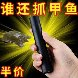 甲鱼哨子高频率口哨一摇就响无须充电甲鱼甲鱼煤甲鱼手摇哨子口哨
