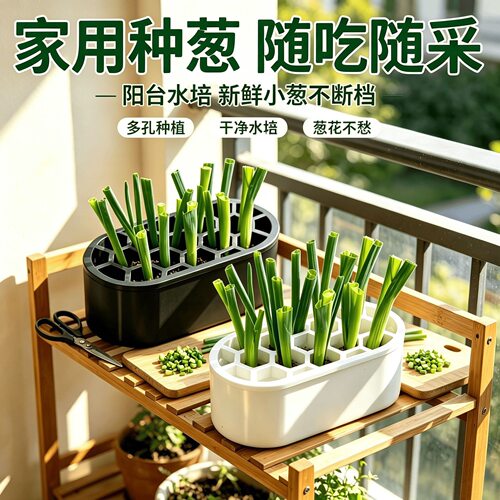 水培小葱种植盆 家用阳台厨房多孔育苗盆 室内花架绿植盆栽通用