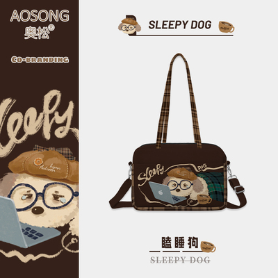 奥松原创帆布包百搭上班通勤高级感小个子可爱单肩枕头波士顿包女