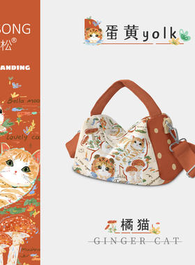 奥松蛋黄yolk可爱橘猫设计感小众文创帆布小方包通勤手提斜挎包女