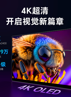 雕塑家14英寸4K便携显示器笔记本电脑办公手机PS5扩展副屏分屏