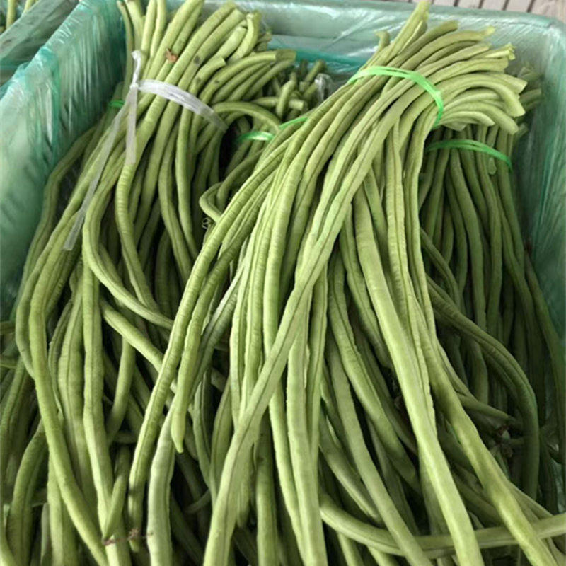 东台农家露天时令新鲜蔬菜长缸豆长豆角四季豆芸姜豆泡菜现摘现发
