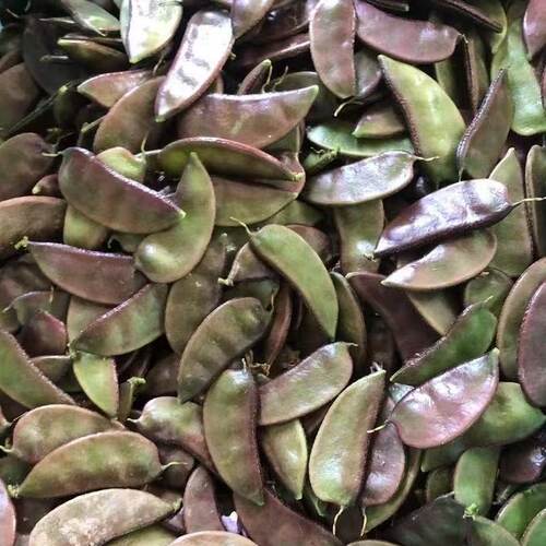 顺丰苏北新鲜露天紫扁豆农家当季筋豆耳朵豆荚芸豆时令蔬菜豆角