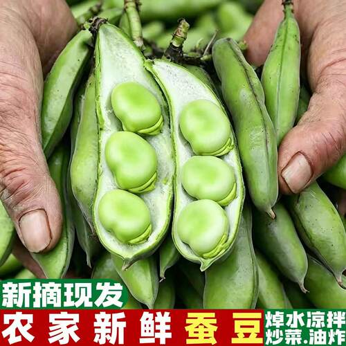 现摘现发  坏果包赔