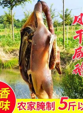 农家腌制溧阳周城咸鹅腊鹅风干老鹅整只天目湖寿县茅山固始5.5斤
