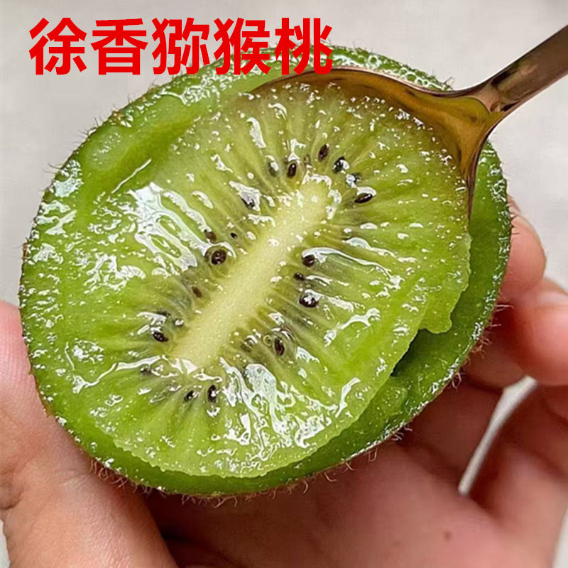 陕西眉县正宗徐香绿心猕猴桃孕妇猕猴桃奇异果新鲜当季水果礼盒装