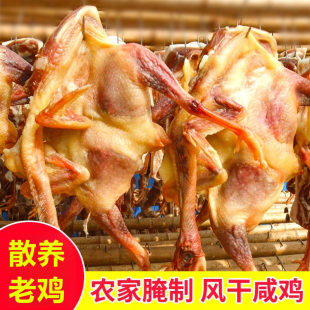 苏北特产农家咸鸡腊鸡风干整只腊肉腊鸡腊鸭腊鹅土鸡腊货年货批发