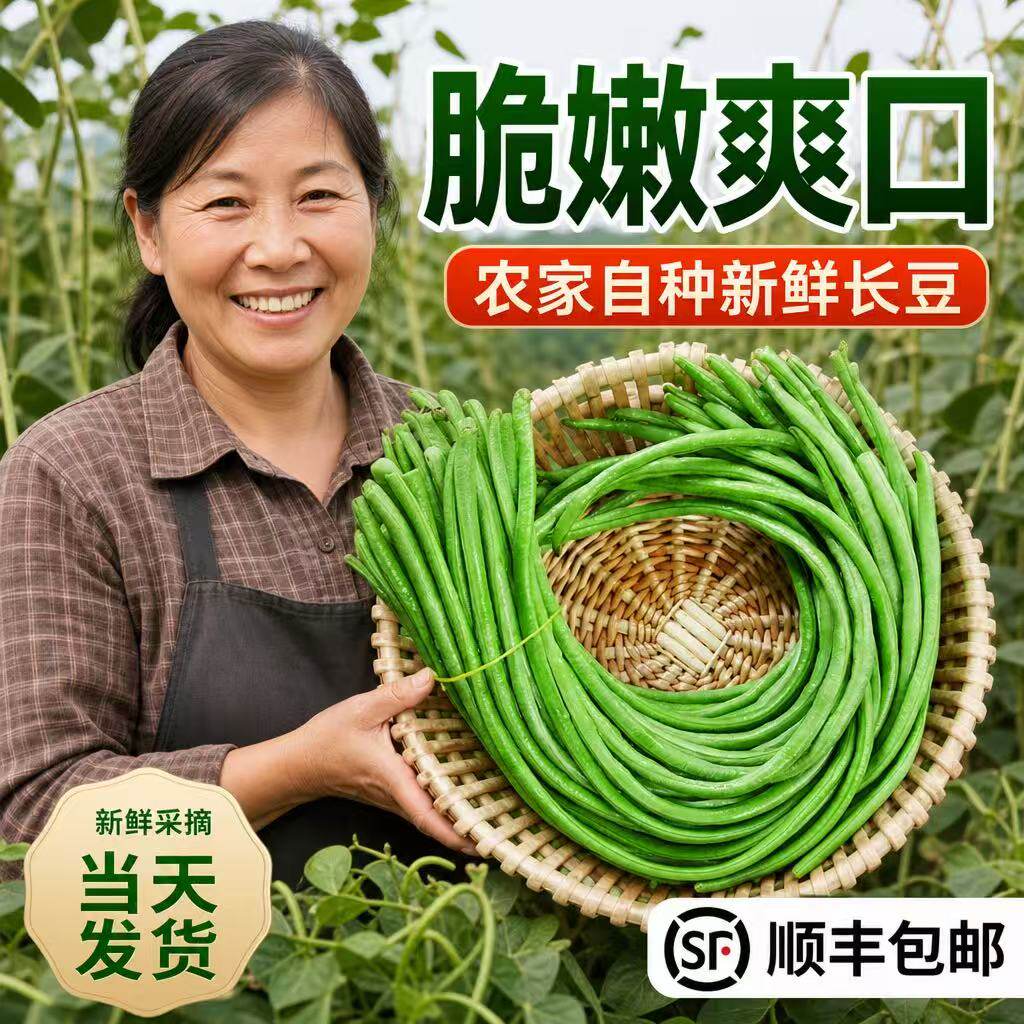 乔诚长缸豆长豆角四季豆现摘现发图片