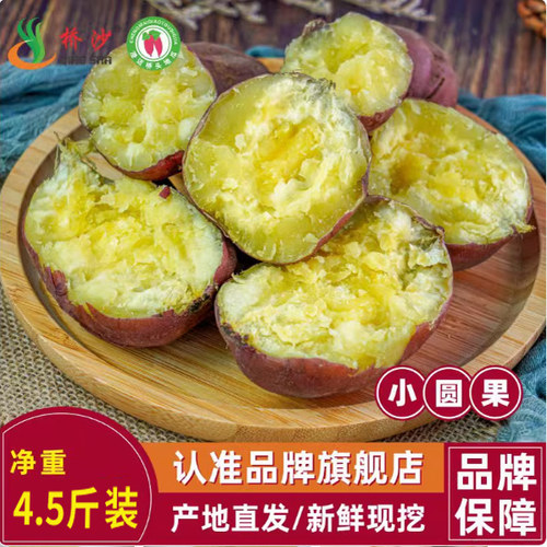 桥沙富硒新鲜板栗薯4.5斤包邮