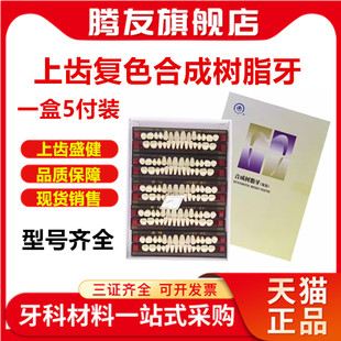 上齿合成树脂牙盛健树脂牙 齿科口腔活动义齿 假牙高耐磨牙科材料