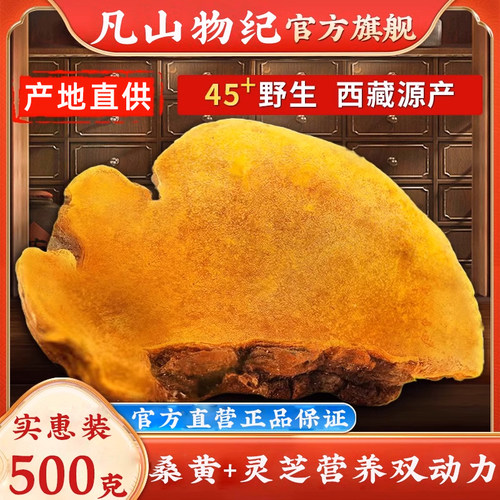 桑黄野生西藏500g中药材买二送一