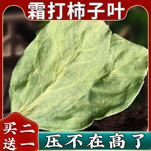 柿子叶茶中药材霜降后新鲜干柿子叶功效泡水茶包河南野生树叶子粉